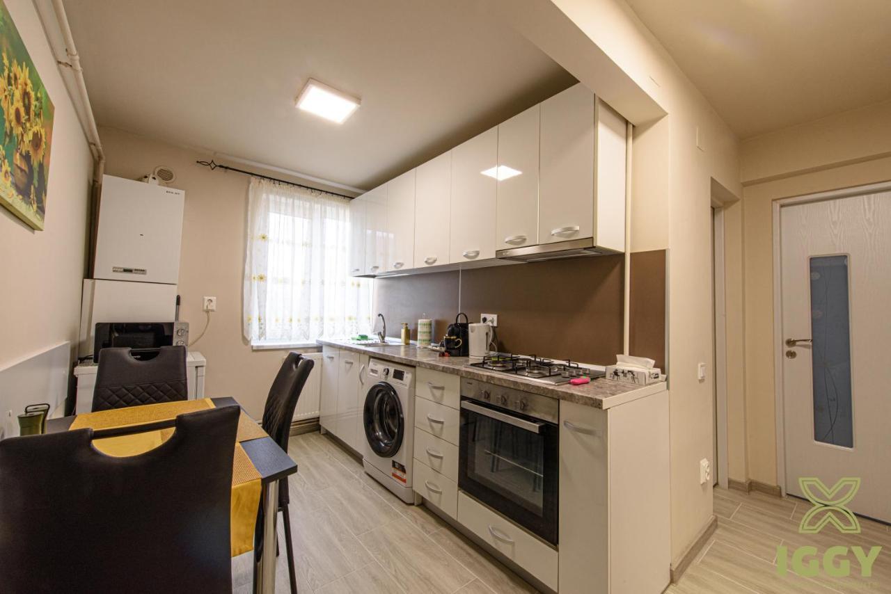 Iggy Luxury Apartment Hunedoara Exteriör bild